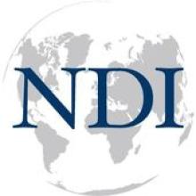 NDI Logo